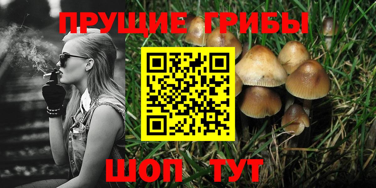 Псилоцибиновые грибы мухоморы Сыктывкар