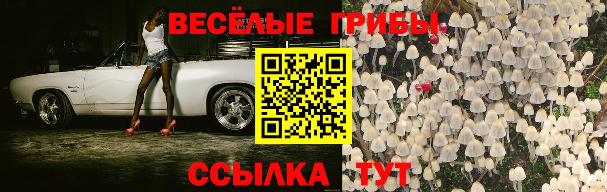 Сыктывкар  где найти   Вход с VPN  Галлюциногенные грибы Magic Shrooms  Псилоцибиновые грибы мицелий 